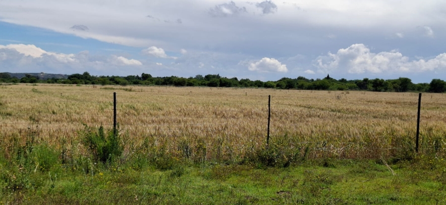 Commercial Property for Sale in Bloemfontein Rural Free State